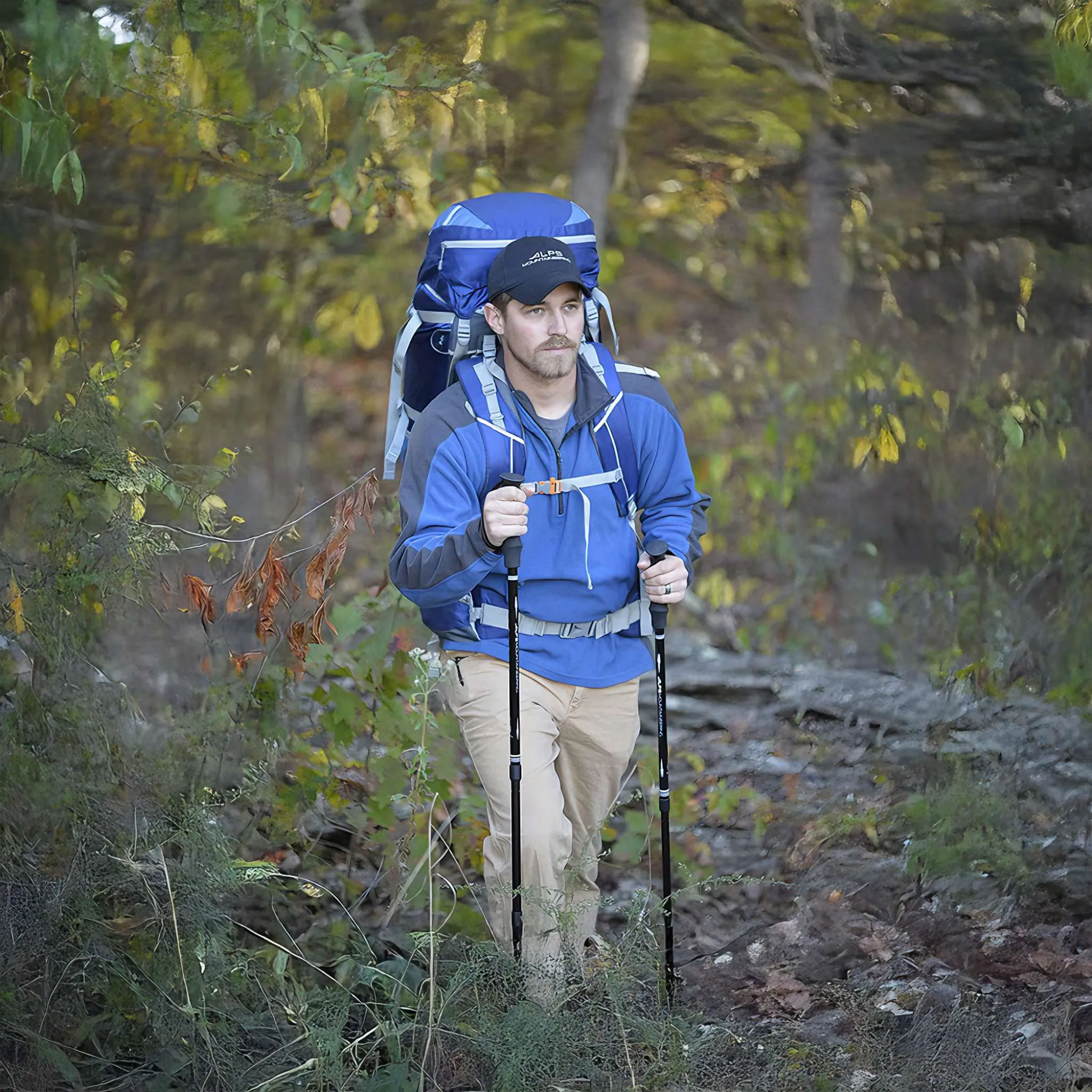 Explorer Trekking Pole