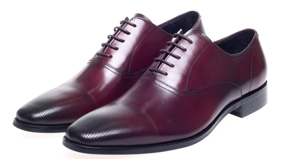 John White Bay Bordo Capped Oxfords